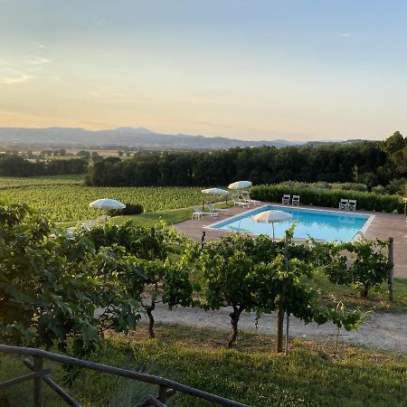 Poggio Alle Vigne Torgiano Εξωτερικό φωτογραφία