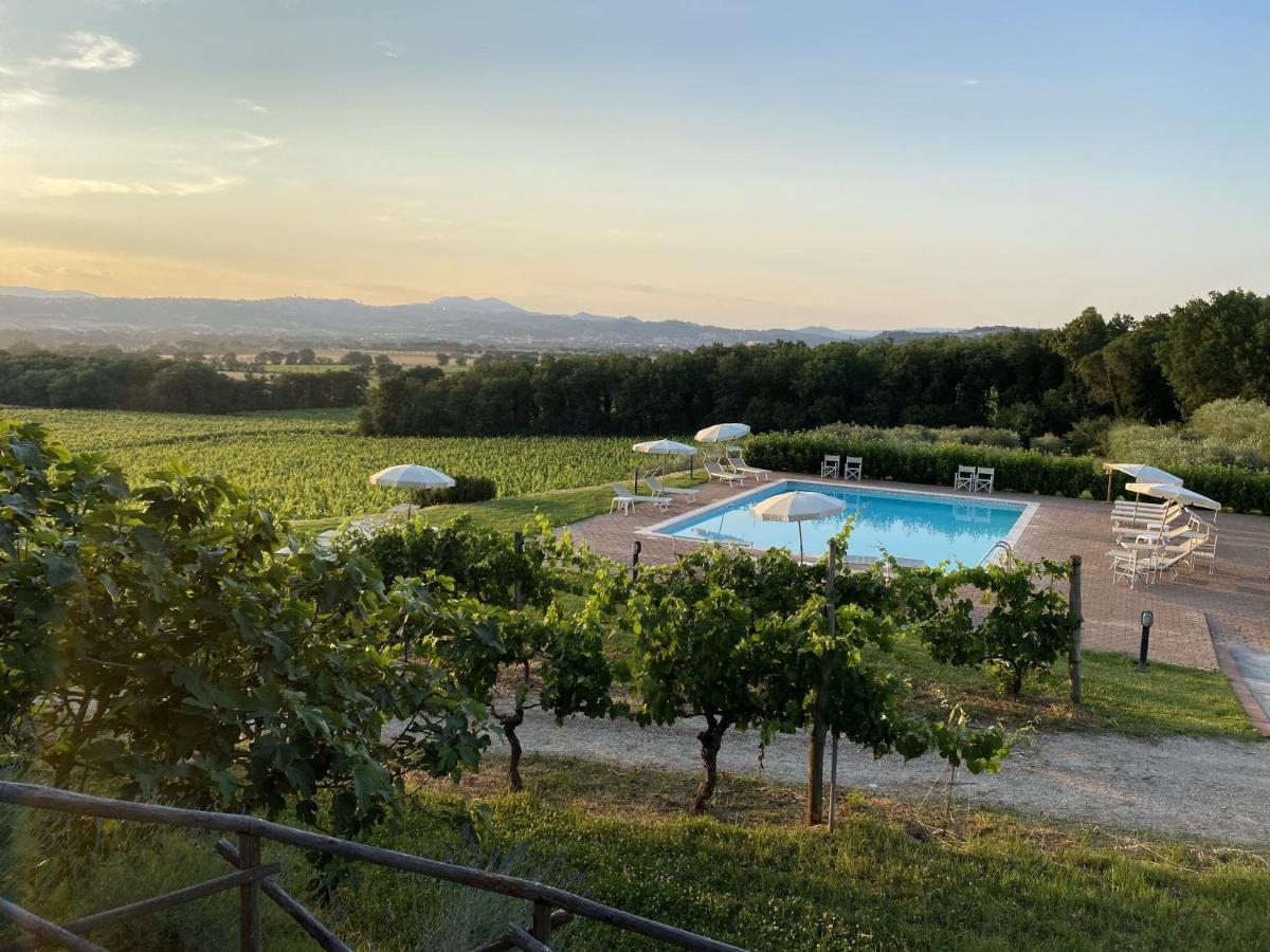 Poggio Alle Vigne Torgiano Εξωτερικό φωτογραφία