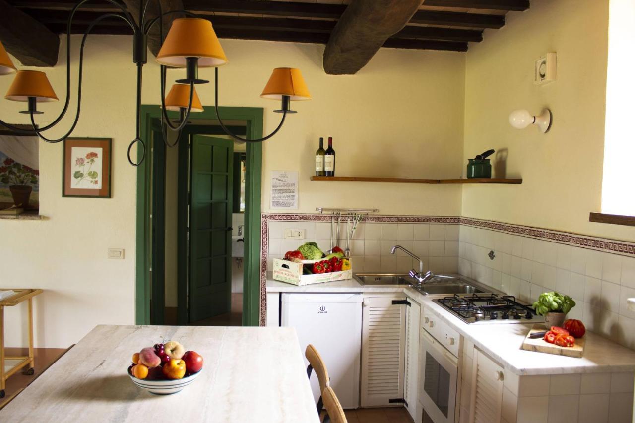 Poggio Alle Vigne Torgiano Εξωτερικό φωτογραφία
