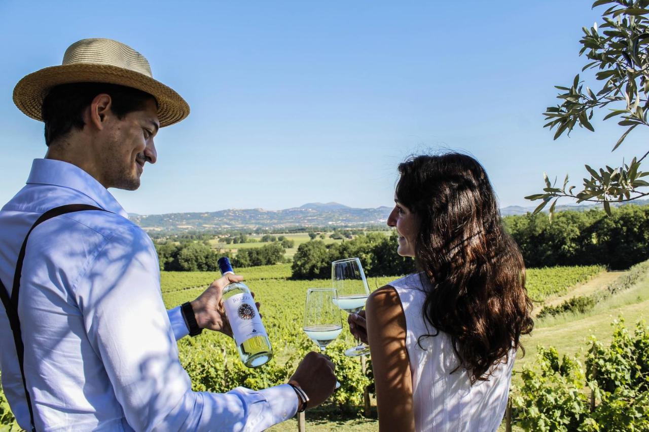 Poggio Alle Vigne Torgiano Εξωτερικό φωτογραφία