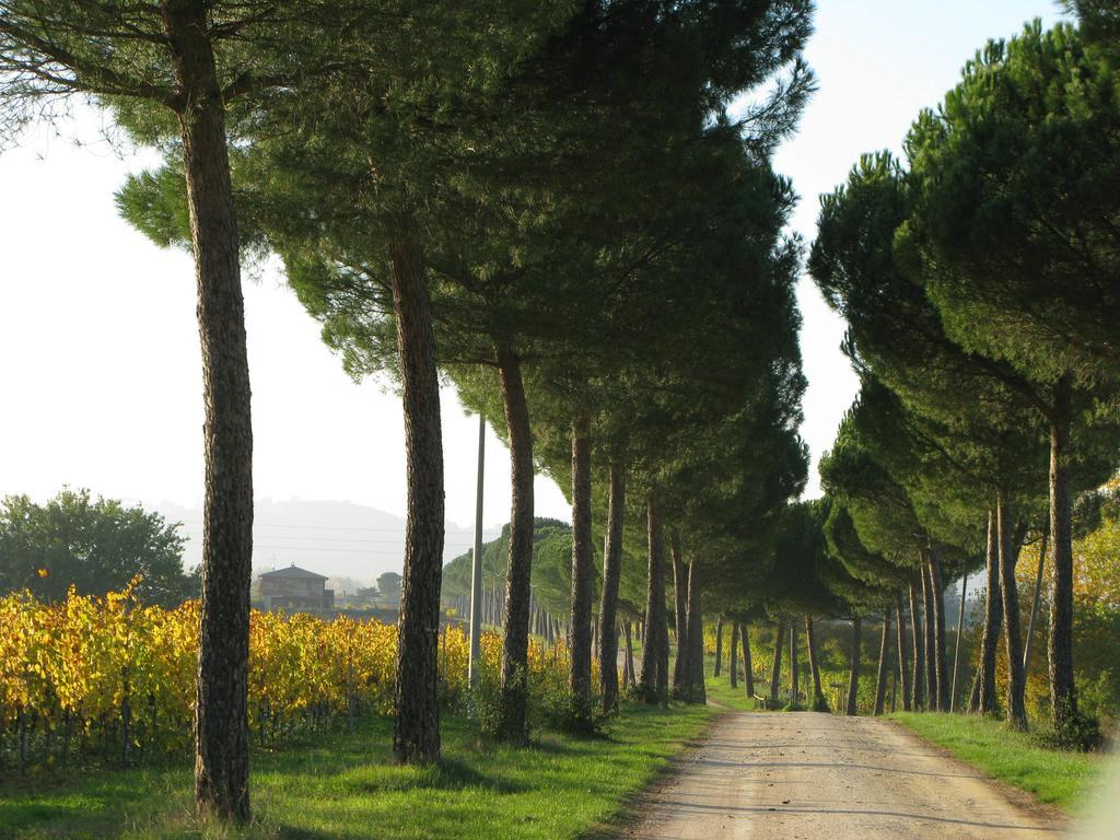 Poggio Alle Vigne Torgiano Εξωτερικό φωτογραφία