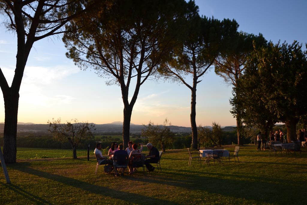 Poggio Alle Vigne Torgiano Εξωτερικό φωτογραφία