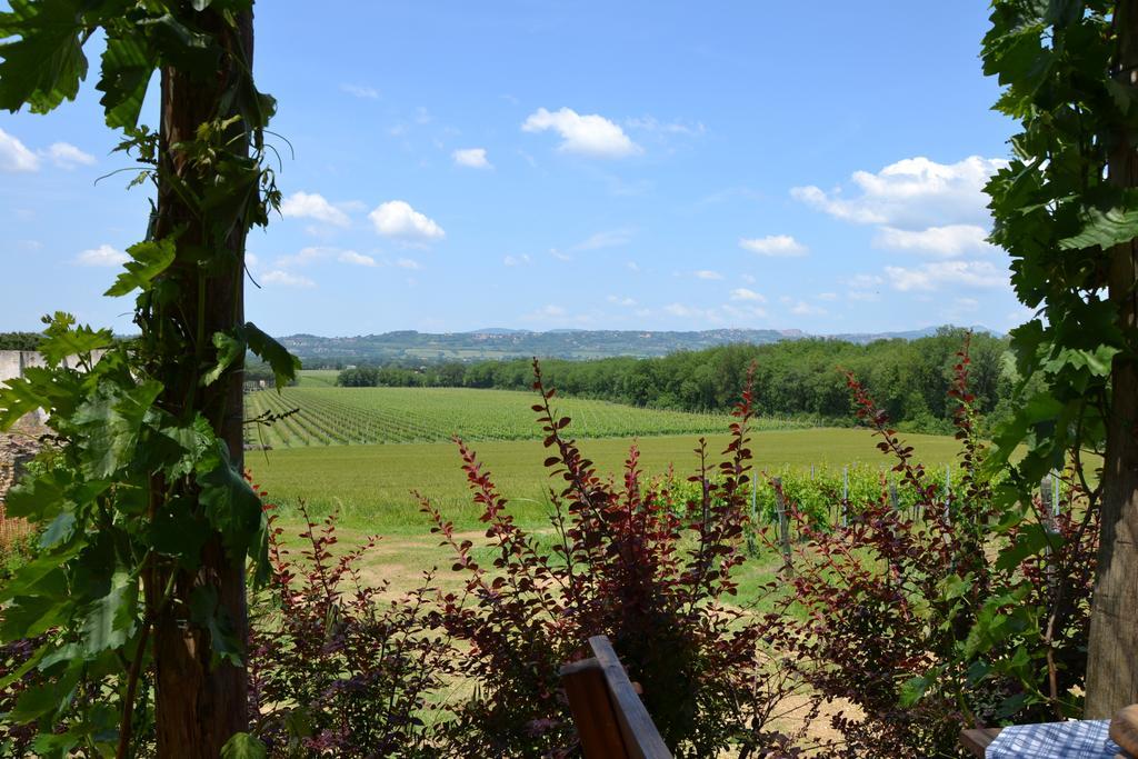 Poggio Alle Vigne Torgiano Εξωτερικό φωτογραφία